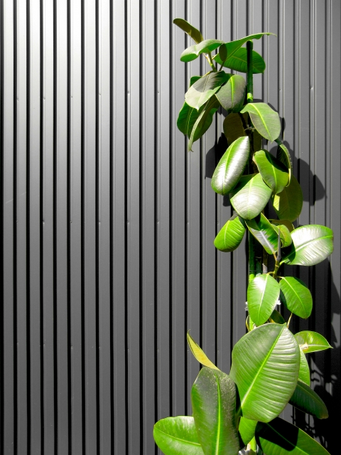 サイデイングの寿命とメンテナンス時期、劣化症状を一気に紹介